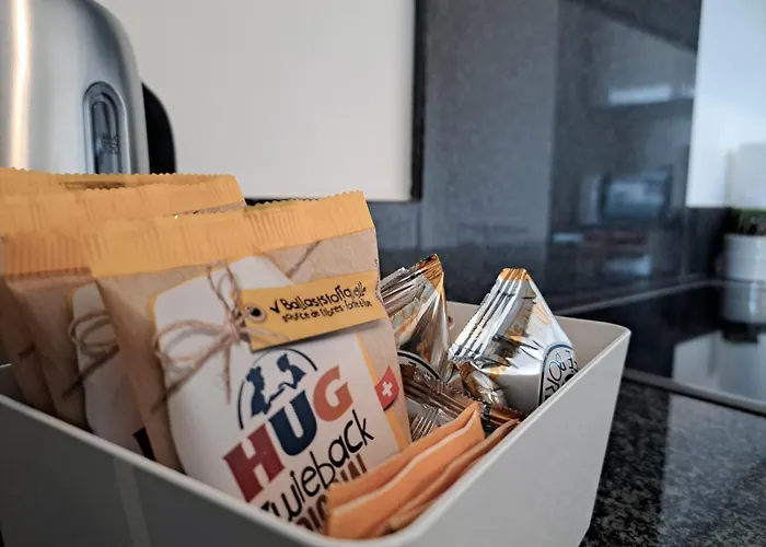 Mola By Quokka 360 - Terrace And Parking 公寓 盧加諾